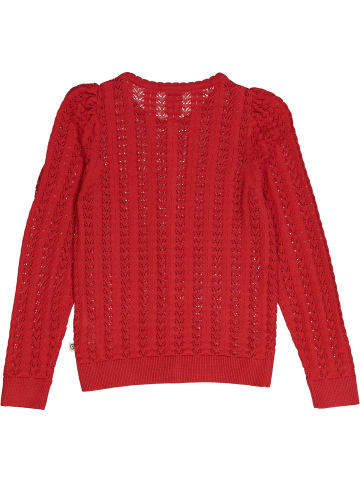 müsli Strickjacke in Applered