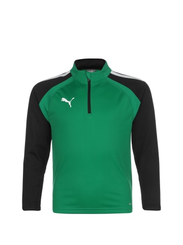 Puma Sweatshirt TeamLIGA 1/4 Zip in grün / schwarz