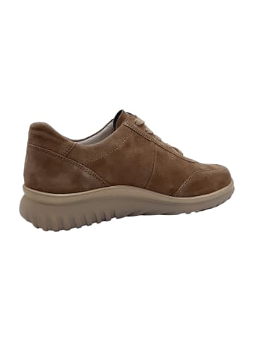 Semler Komfort Schnürschuhe in Beige