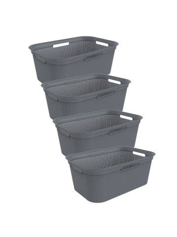 Rotho Brisen 4er-Set Wäschebox 40l in Anthrazit