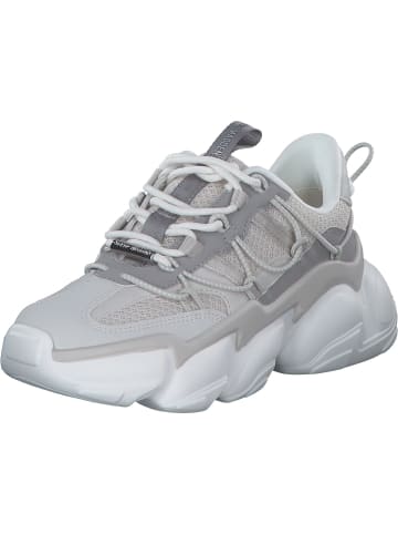 Steve Madden Schnürschuhe in grey/white