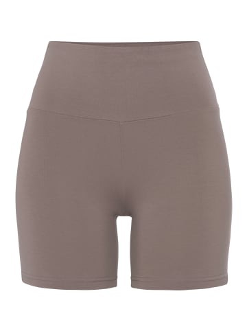 LASCANA Shorts in taupe