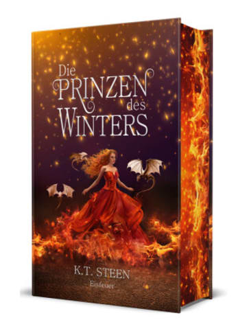 Drachenmond Verlag Buch - Die Prinzen des Winters