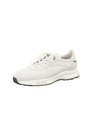 LLOYD Sneaker Low in weiß