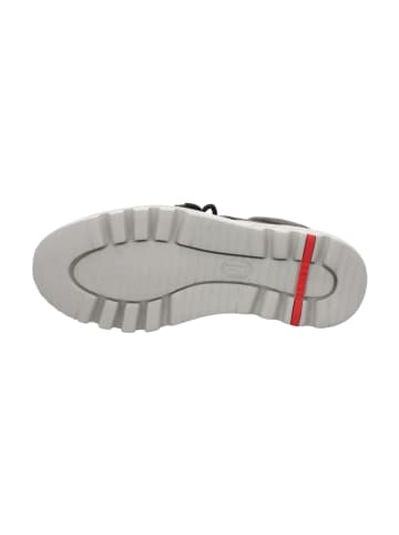LLOYD Schnürboots in Grau