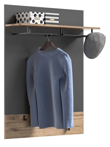 xonox.home Paneel  (B/H/T: 90x117x25 cm) in Nox Oak Nachbildung und Basalt grau