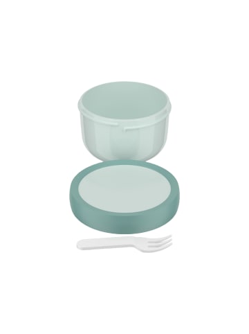 Mepal Fruchtbox Campus in 300 ml in Cool Mint