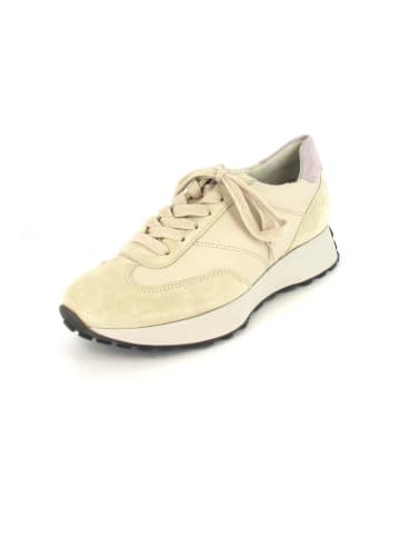 Paul Green Sneaker in Beige