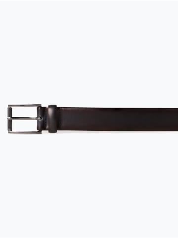 Condor Condor in marine - 0001
