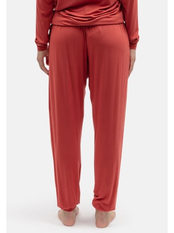 Cyberjammies PUMPKIN SPICE  Loungewear in rot