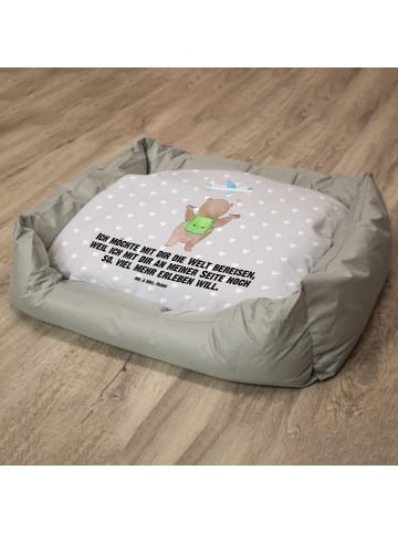 Mr. & Mrs. Panda Hundekorb Bär Flugzeug mit Spruch in Grau Pastell