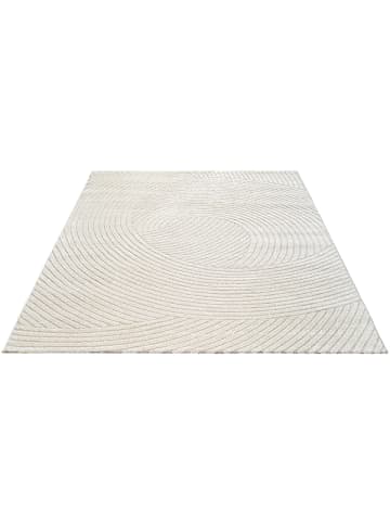 the carpet Kurzflorteppich Everest G in Creme