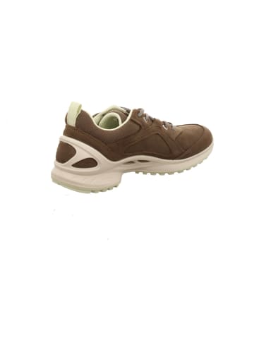 Ecco Schnürschuh in grau