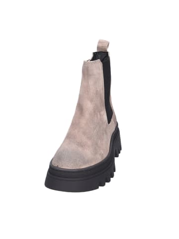 Apple of Eden Damen Boots DEMI in DK TAUPE