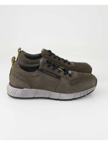 SALAMANDER Klassische Schnürschuhe in Grau