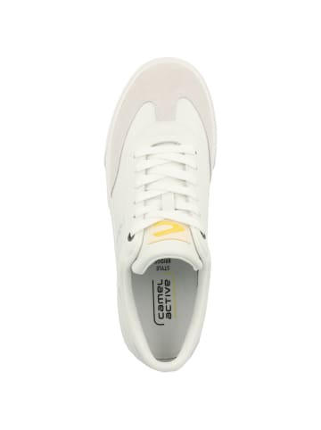 Camel Active Sneaker low 54BGA02 in weiss