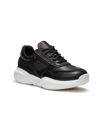 Xsensible Schnürschuhe SWX11 in Black