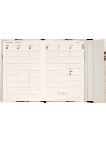 NOTIQUE Taschenkalender 2027 mit Magnetverschluss in Michelangelo - 11 x 16 cm