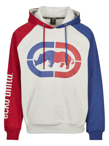 Ecko Kapuzenpullover in grey/red/blue