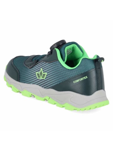 Lico Schnürhalbschuh in green