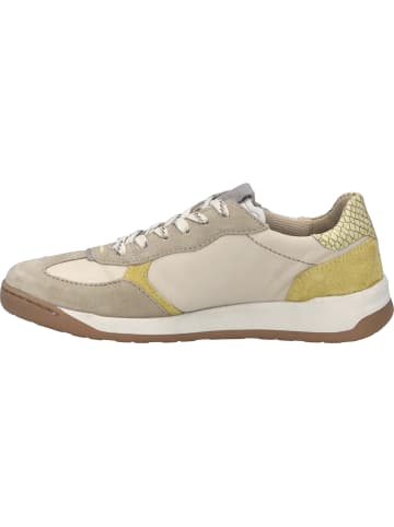 Josef Seibel Sneaker Arleen 01 in beige