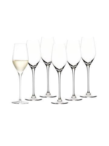 Stölzle 6er Set Champagnerkelche Exquisit Royal 265 ml in transparent