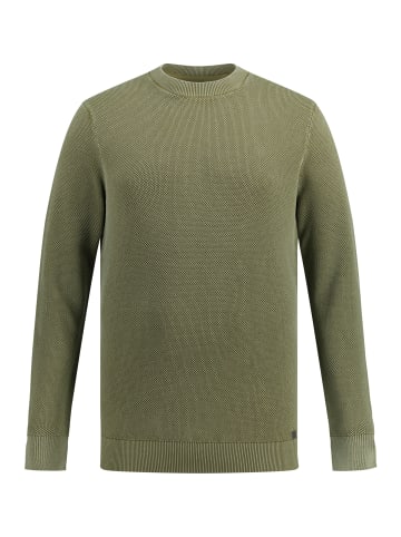 JP1880 Pullover in palmen grün