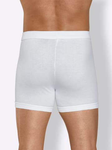 WITT WEIDEN Hose kurz in weiß