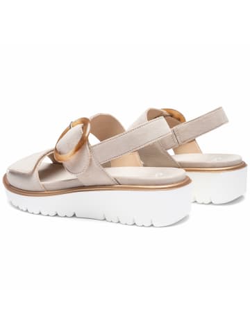 ara Riemchen Sandalen für Damen in uni