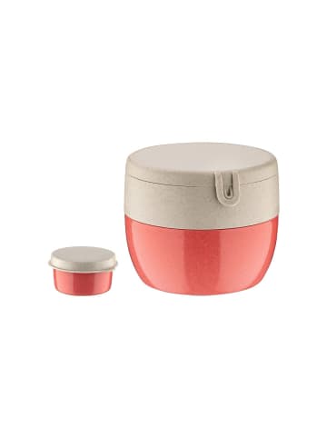 koziol Bentobox in nature coral