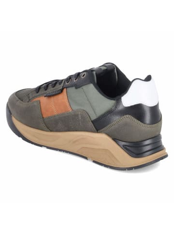 Bullboxer Schnürhalbschuh in green
