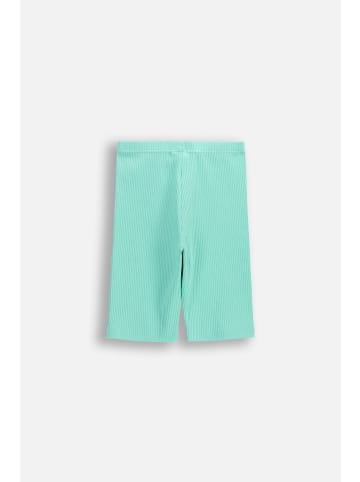 Coccodrillo Kurze Leggings in in Minzfarbe