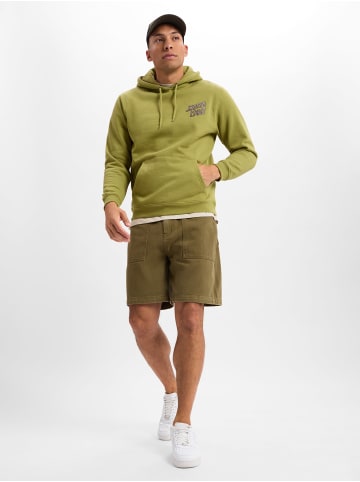 Santa Cruz Shorts in khaki