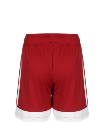 adidas Performance Trainingsshorts Tastigo 19 in rot / weiß