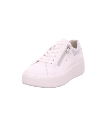 WALDLÄUFER H-Nicky H-Nicky in snow