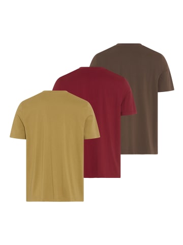 Man's World T-Shirt in braun, camel, bordeaux