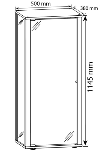 ebuy24 Vitrinenschrank KavisaL 5 Silberfarben 50 x 38 cm