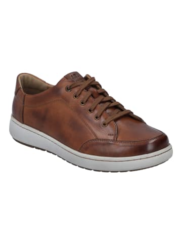 Josef Seibel Sneaker David 03 in cognac-kombi