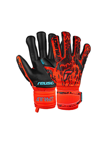 Reusch Torwarthandschuhe Attrakt Freegel Gold in 3333  brig red/futr blu/blck