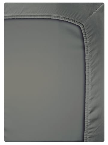 Bierbaum Biber Spannbettlaken 100x200cm Laken Baumwolle in Graphit