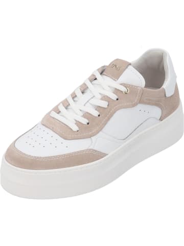 Nero Giardini Schnürschuhe in Weiß/Beige