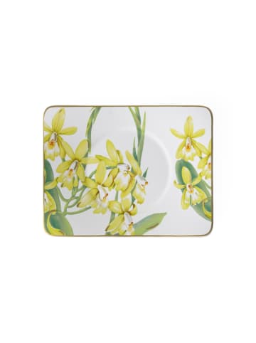 Villeroy & Boch Teeuntertasse Amazonia in bunt