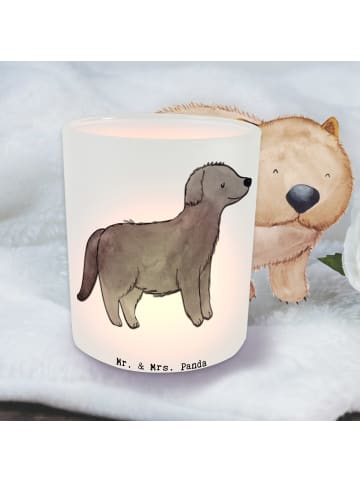 Mr. & Mrs. Panda Outdoor Windlicht Neufundländer Moment ohne Spruch in Transparent