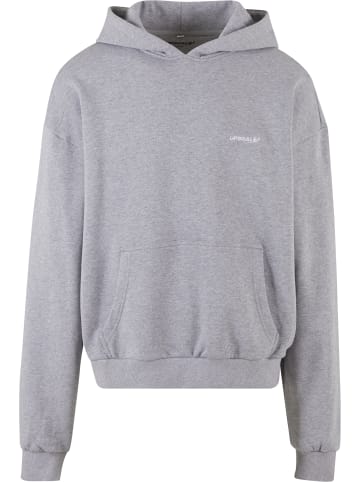Mister Tee Sweat & Fleece - Hoody in grey