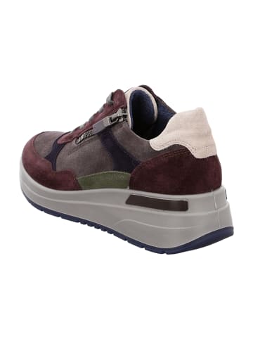 ara Komfort Schnürschuhe in Rot