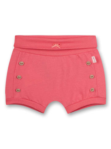 Sanetta Shorts in Rosa