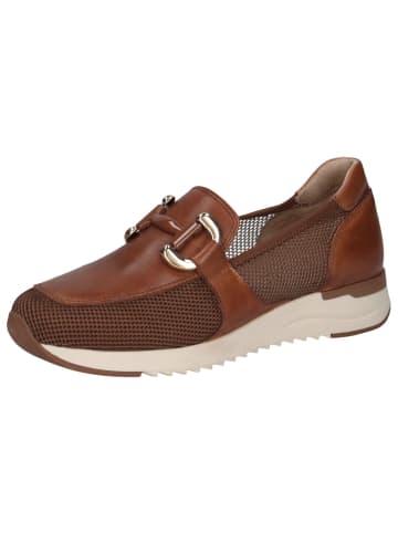 Caprice Slipper in COGNAC COMB