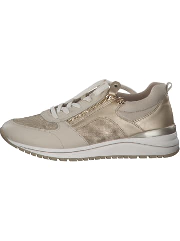 remonte Schnürschuhe in pebble/muschel/lightgold/perlc