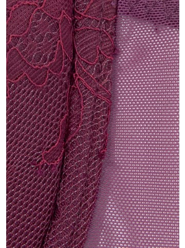 LASCANA Push-up-BH in aubergine