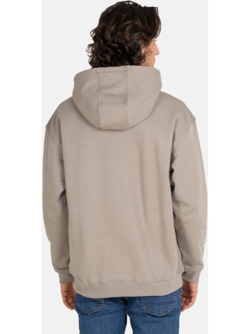 Reell Hoodie "Team Hoodie" in Grau